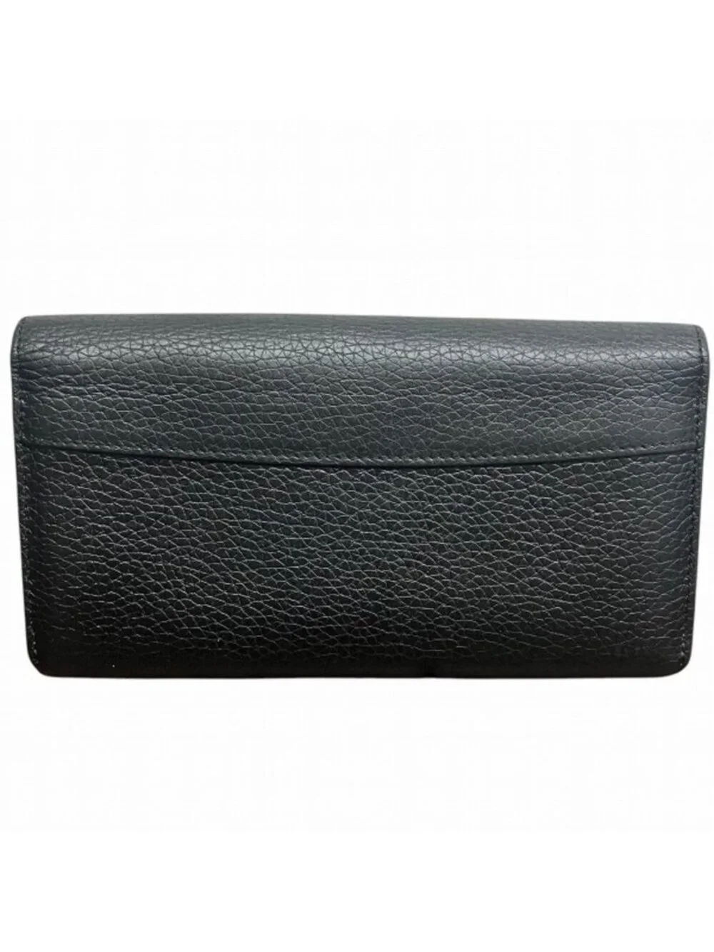 Louis Vuitton brand louis